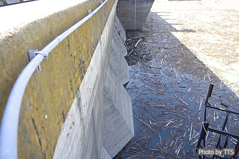 ����d�͎��R���N���[�g�_���F������_��