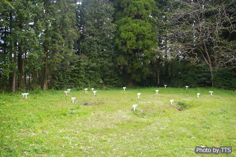 ZÕQiSij