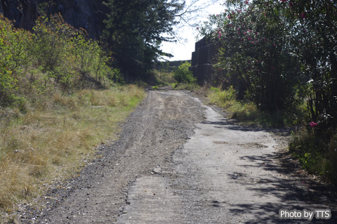 Route de Littoral $BJ)NN%l%f%K%*%sEg$N?FITCN(J