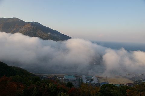 n엒