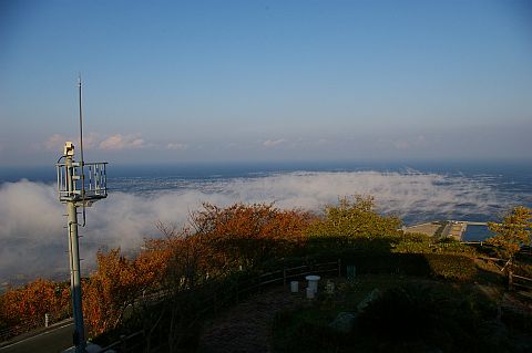 n엒