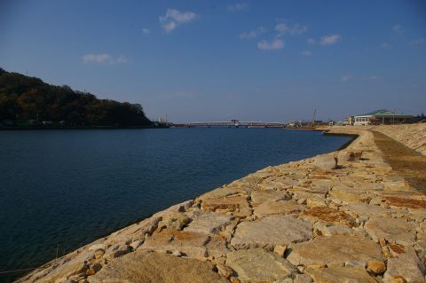 n엒